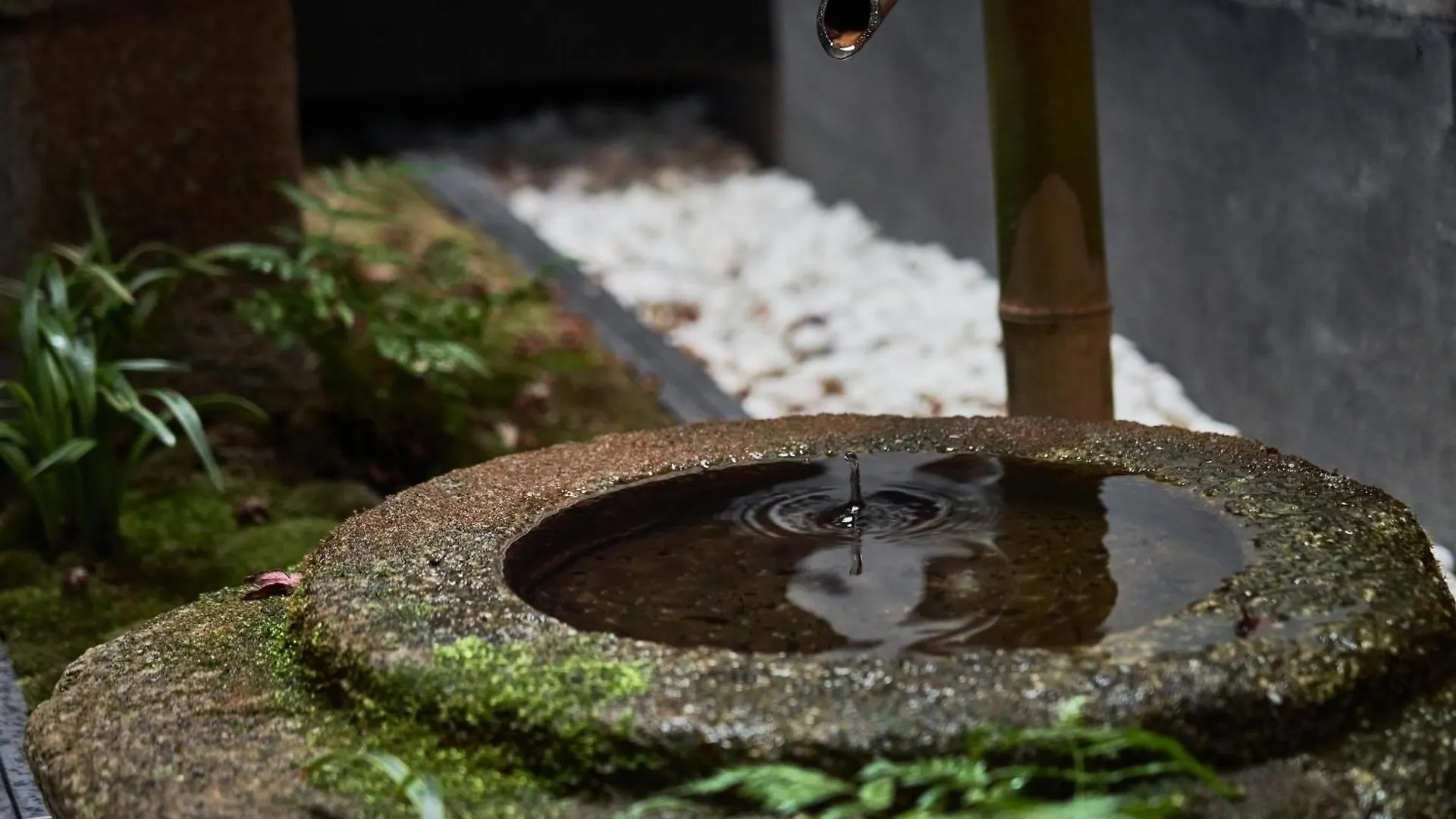 Villa Yadoru Kyoto Hanare Kagetsu No Yado Japan